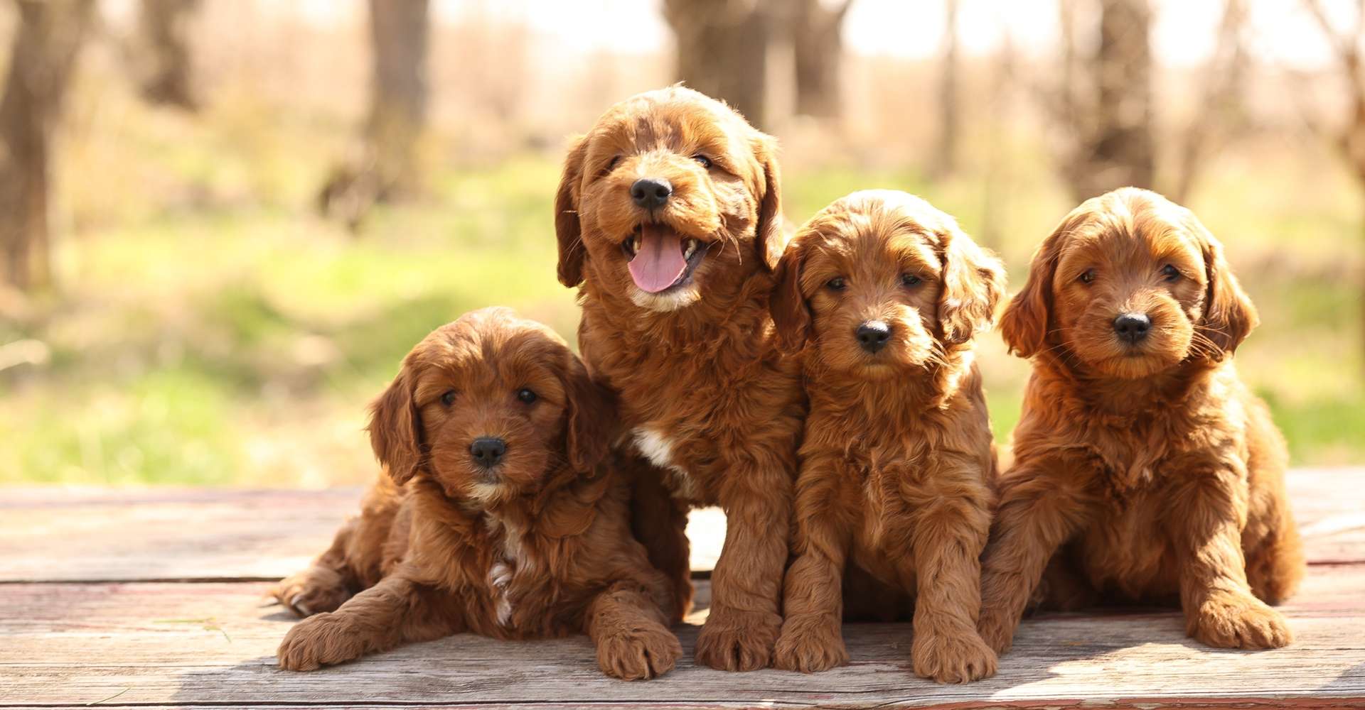 Selection Process Selection Process