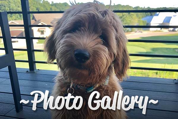 Photo Gallery Photo Gallery